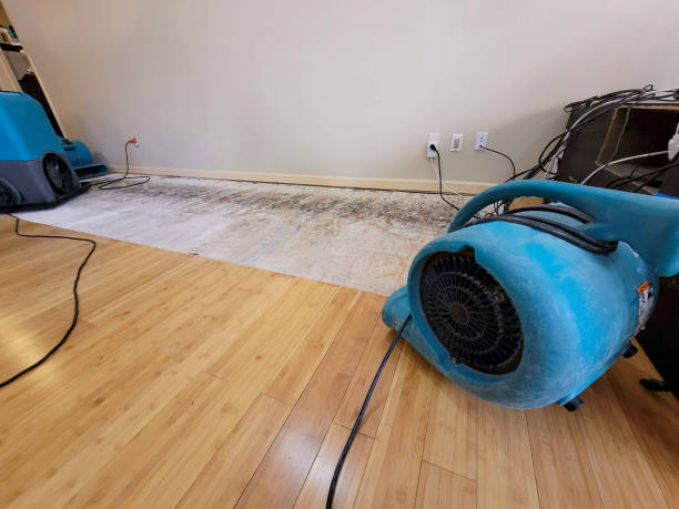 Professional Water Damage Repair technician working in Kerby, OR